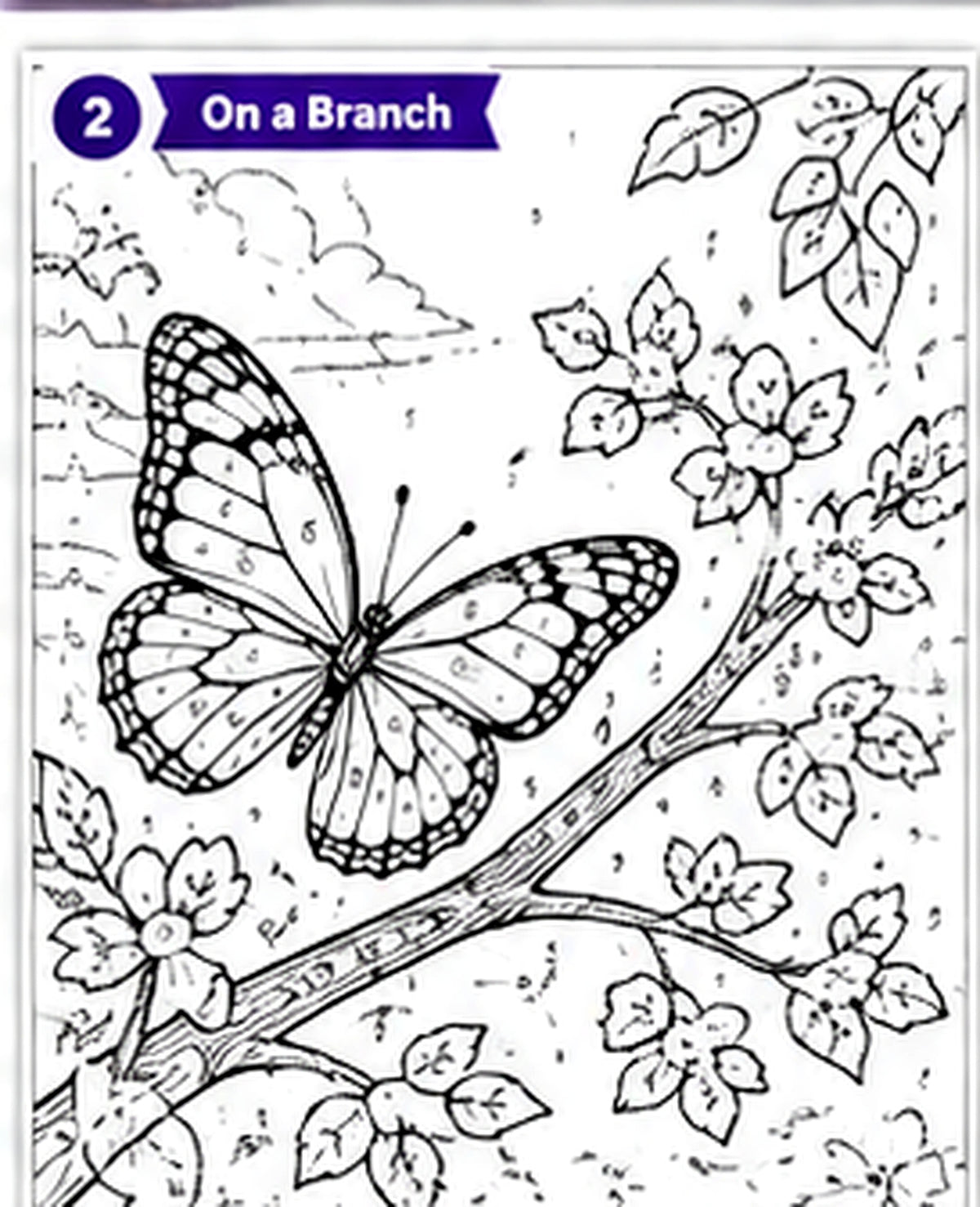 Flutter & Color: A Butterfly Color-by-Number Book