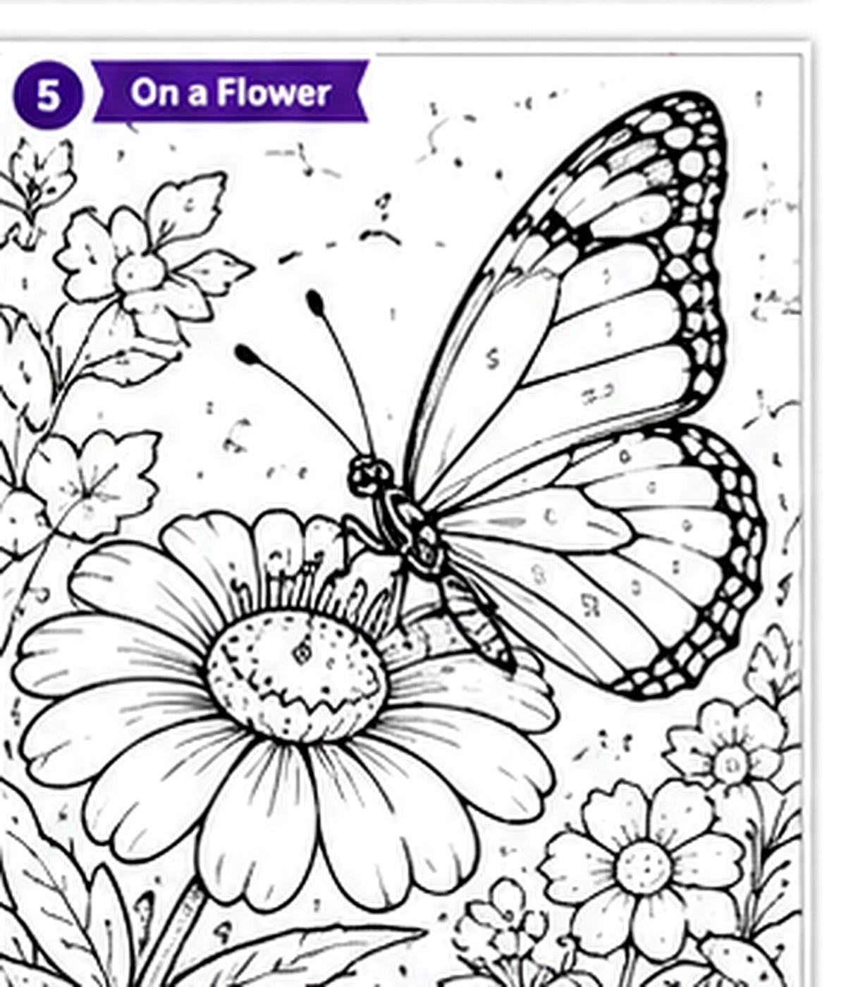 Flutter & Color: A Butterfly Color-by-Number Book